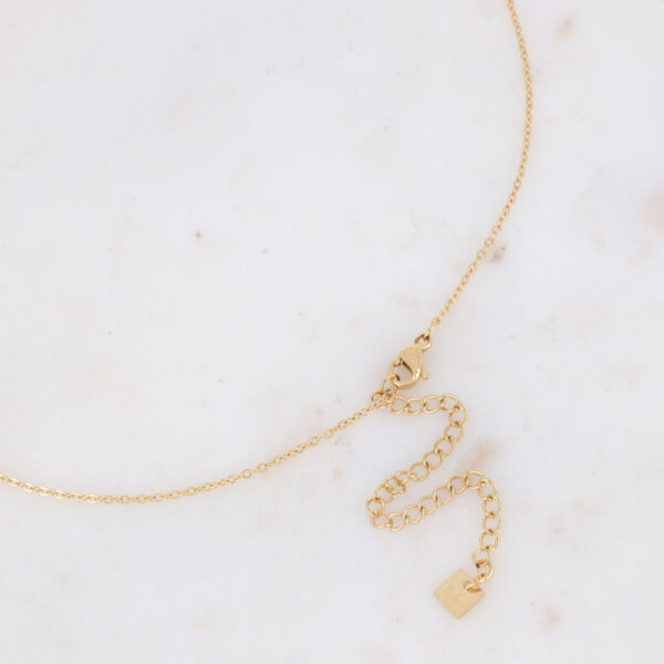 Collier Dévonne – Image 2